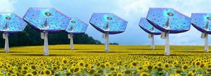 xsunflower2000a.jpg.pagespeed.ic_.7bSLf09yul