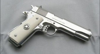 Град Нелсън наложи задължително притежание на оръжие