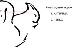 Езотерика: Тест на вашето вътрешно състояние. Какво видяхте първо?