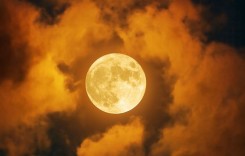 Днес е денят на Есенното Равноденствие! Ето защо астролозите обожават този ден