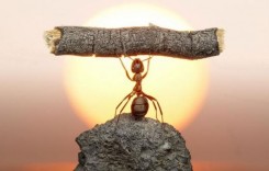 Комплексен хороскоп за 2018 г.: За 4 зодиакални знака началото й ще бъде много сложно