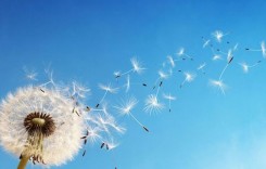 Ние ще  умрем много просто