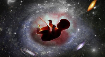 Д-р Дейвид Хамилтън: Съзнанието на човека съществува още преди раждането му!