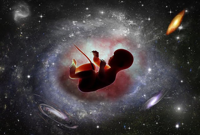 Д-р Дейвид Хамилтън: Съзнанието на човека съществува още преди раждането му!