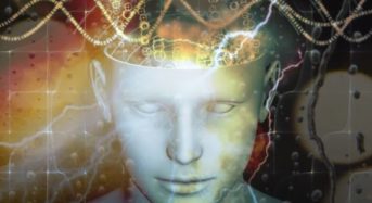 Мудрата „Шапката на Шакямуни: Подобрява драстично работата на мозъка, отстранява главоболието, чувството на страх и тревога