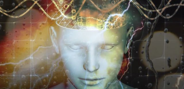 Мудрата „Шапката на Шакямуни: Подобрява драстично работата на мозъка, отстранява главоболието, чувството на страх и тревога