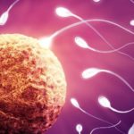 Откритие: Яйцеклетките сами  избират сперматозоидите, които да ги оплодят!