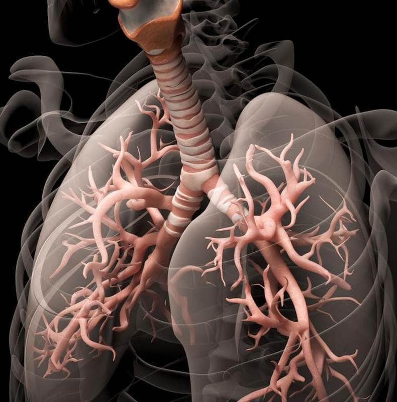Какво се случва с органите на дихателната система при бронхит