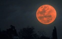 „Кървавата“ Луна на 8 ноември – само позитивизъм за всички зодии