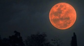 „Кървавата“ Луна на 8 ноември – само позитивизъм за всички зодии