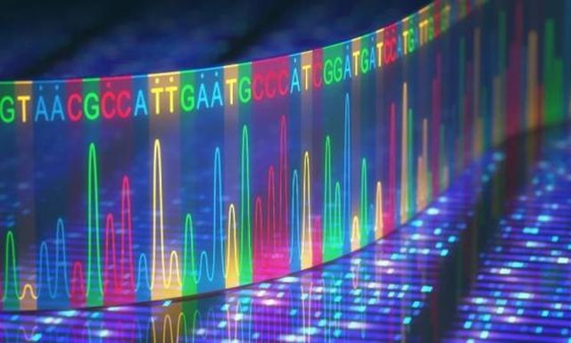 Ами ако кодът на нашата ДНК е изкуствен интелект?